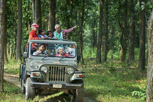 Jungle Safari | Things to do in Dandeli